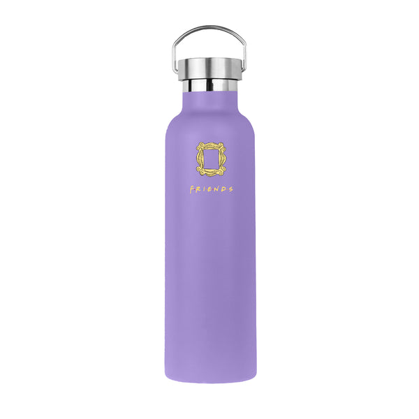 Metal Handle Lid Bottle (700ml) - Domma main image 1